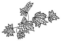 Канашибари. Пока не погаснет последний фонарь. Том 3 - i_010.jpg