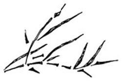 Канашибари. Пока не погаснет последний фонарь. Том 3 - i_015.jpg