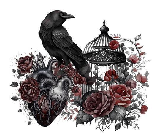 Перья столь порочные (ЛП) - _5.jpg