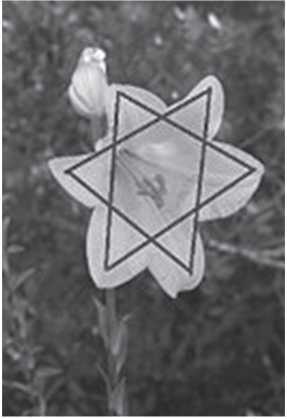 Новая география древности и «исход евреев» из Египта в Европу. Книга II - i_019.jpg