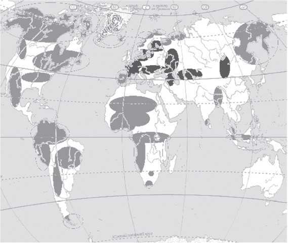 Хрустальный Христос и древняя цивилизация. Книга I - i_007.jpg