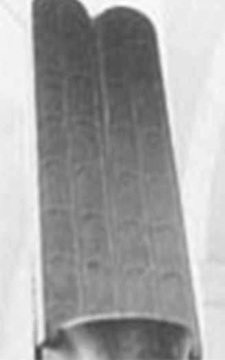 Хрустальный Христос и древняя цивилизация. Книга I - i_128.jpg