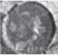 Хрустальный Христос и древняя цивилизация. Книга I - i_136.jpg