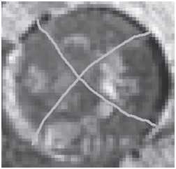 Хрустальный Христос и древняя цивилизация. Книга I - i_137.jpg