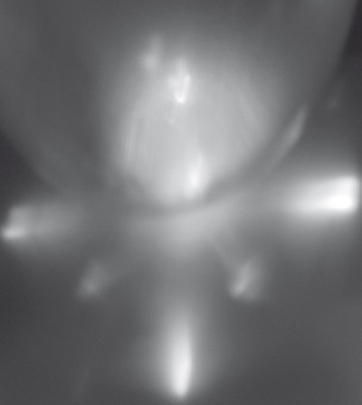 Хрустальный Христос и древняя цивилизация. Книга I - i_188.jpg