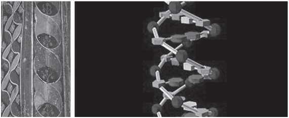 Хрустальный Христос и древняя цивилизация. Книга I - i_209.jpg