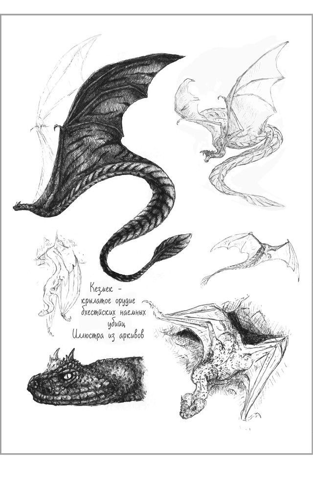 Дракон из черного стекла - i_006.jpg