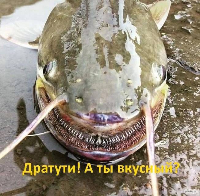 "Фантастика 2025-136". Компиляция. Книги 1-20 (СИ) - i_025.jpg