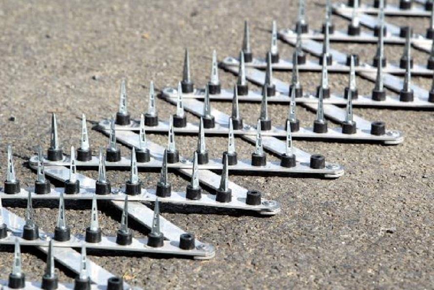 "Фантастика 2025-136". Компиляция. Книги 1-20 (СИ) - i_050.jpg