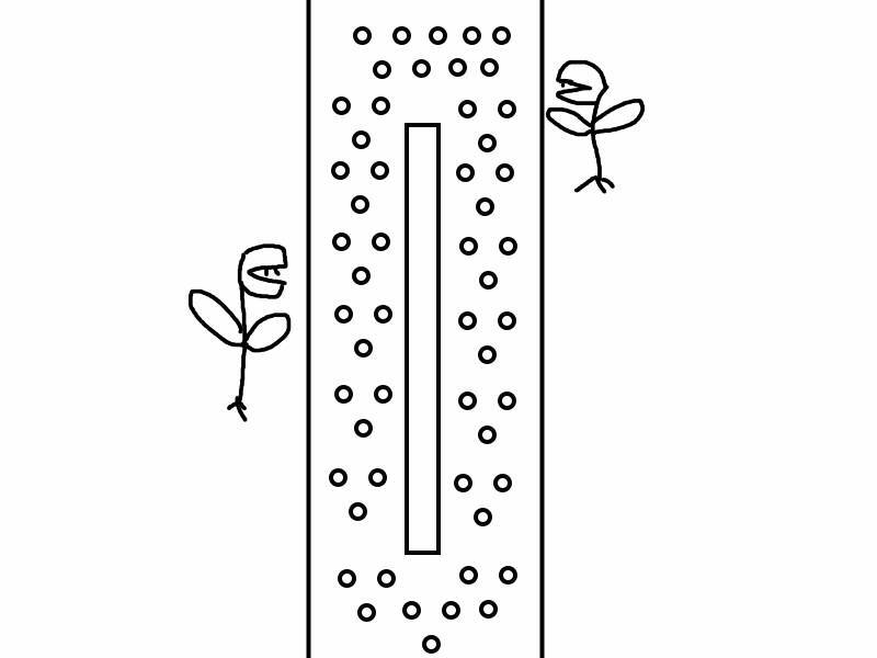 "Фантастика 2025-136". Компиляция. Книги 1-20 (СИ) - i_051.jpg