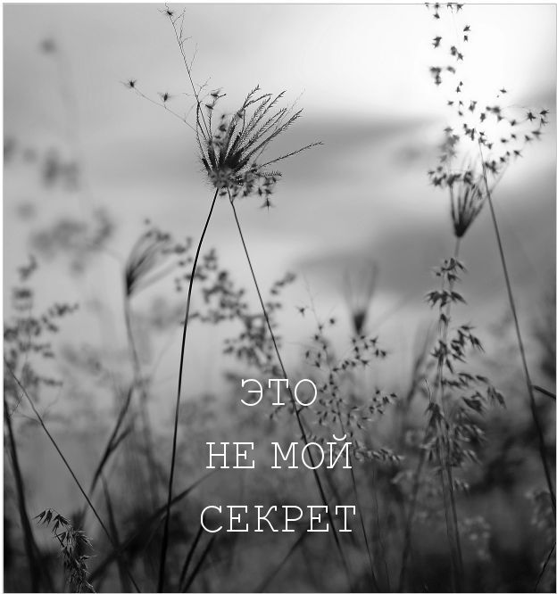 Маленькая невинная ложь - i_011.jpg