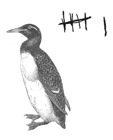 Где кончается мир - i_012.png