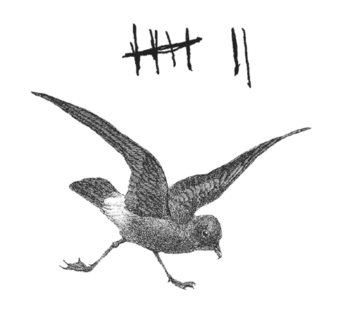 Где кончается мир - i_014.png