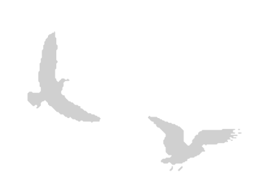 Где кончается мир - i_019.png