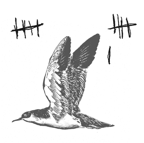 Где кончается мир - i_022.png