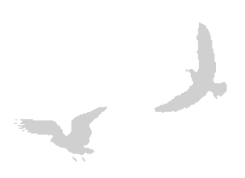 Где кончается мир - i_029.png