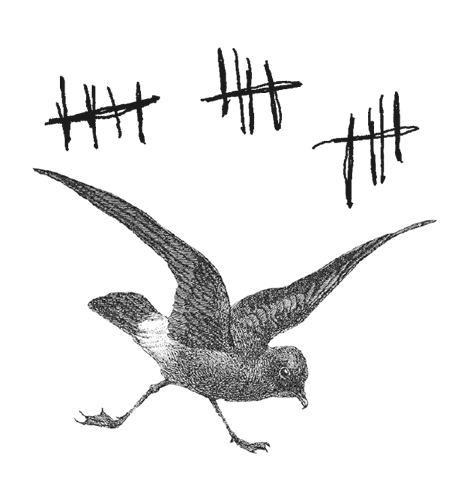 Где кончается мир - i_030.png