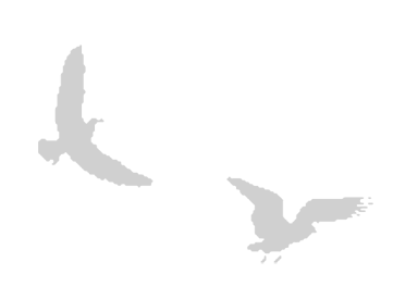 Где кончается мир - i_033.png