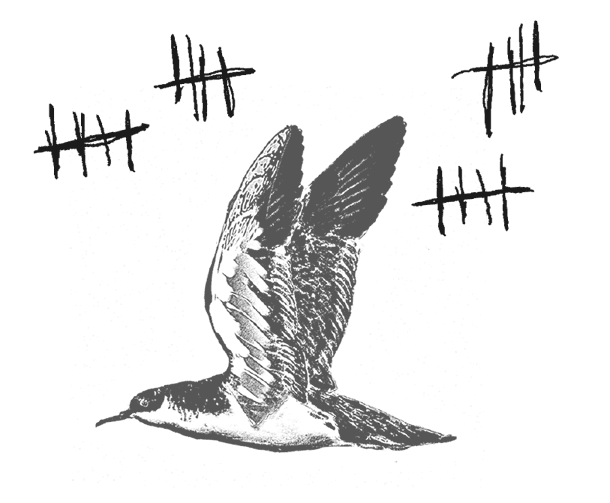 Где кончается мир - i_037.png