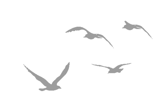 Где кончается мир - i_042.png