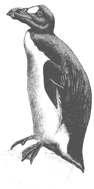 Где кончается мир - i_043.png