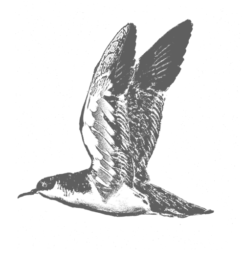 Где кончается мир - i_045.png