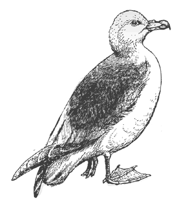 Где кончается мир - i_046.png