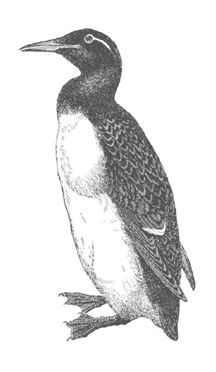 Где кончается мир - i_047.png