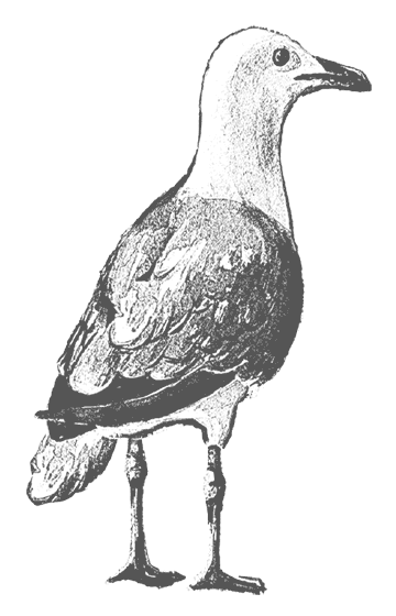 Где кончается мир - i_050.png