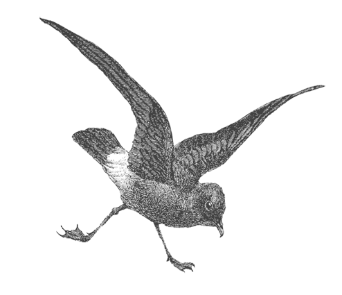 Где кончается мир - i_051.png