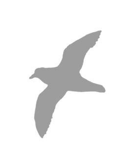 Где кончается мир - i_052.png