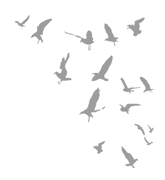 Где кончается мир - i_054.png