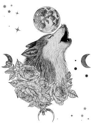 Волк одичал - i_005.jpg