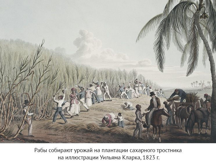 Простовещи. История мира через легендарные товары и любимые продукты - i_017.jpg