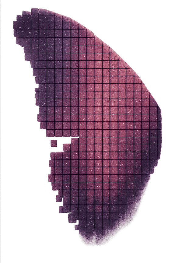 Комплект книг: Интеллектуальные медитации - i_009.png