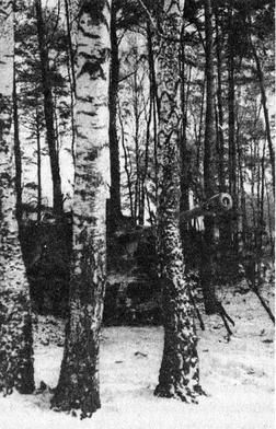 Танковые рейды - i_042.jpg