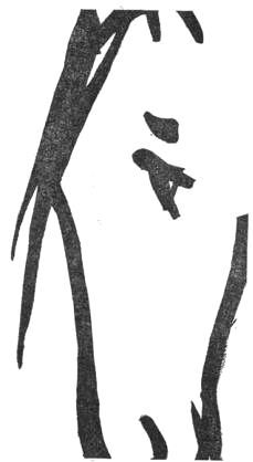 Садок судей II - i_011.jpg