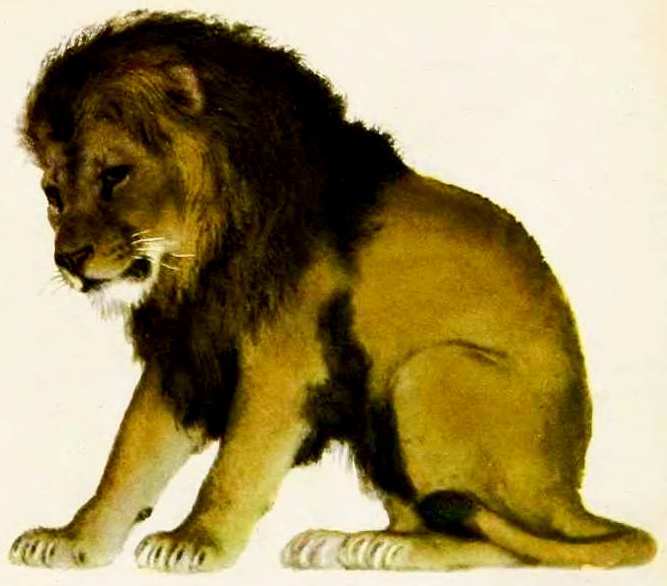 Маяковский детям - pict_022.jpg