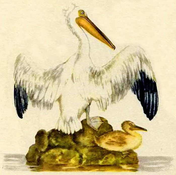 Маяковский детям - pict_024.jpg