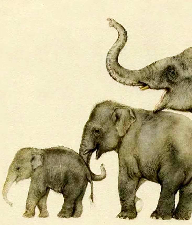 Маяковский детям - pict_026.jpg