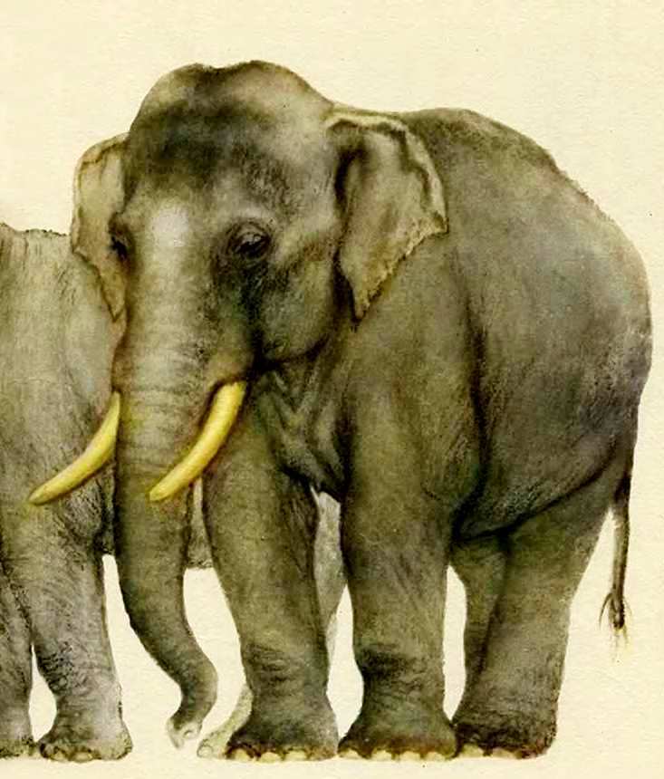 Маяковский детям - pict_027.jpg