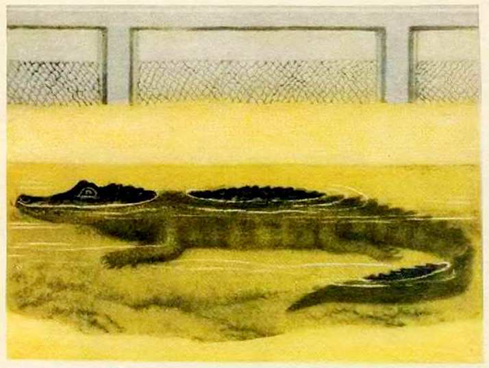 Маяковский детям - pict_028.jpg