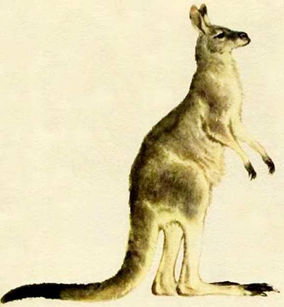 Маяковский детям - pict_030.jpg