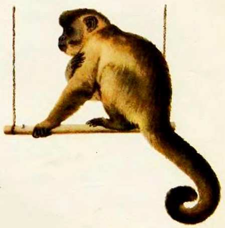 Маяковский детям - pict_032.jpg