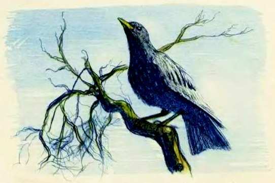 Маяковский детям - pict_087.jpg