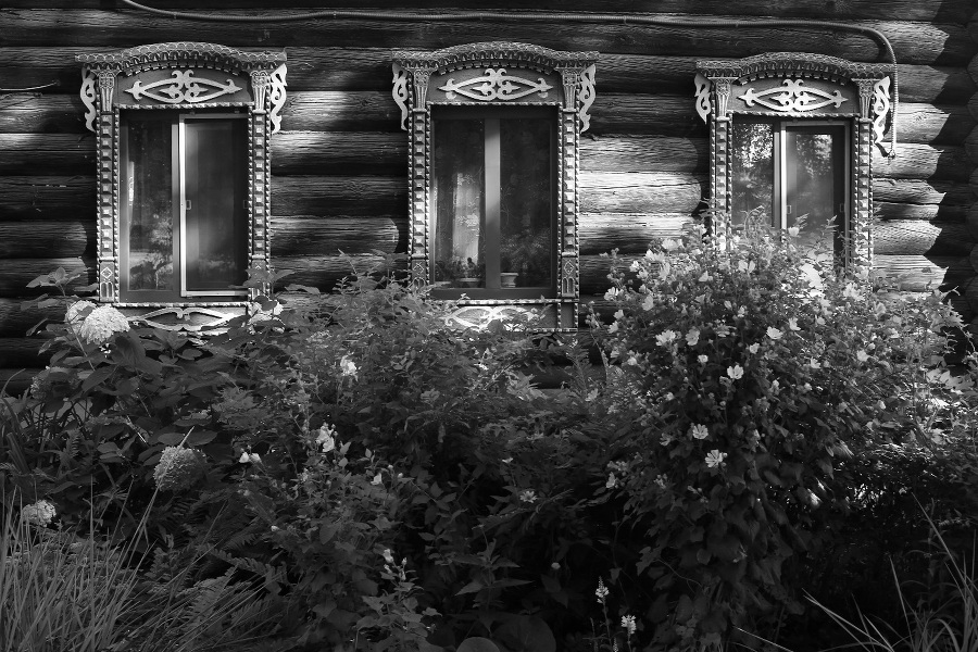 Кот мяукнул в третий раз - _1.jpg