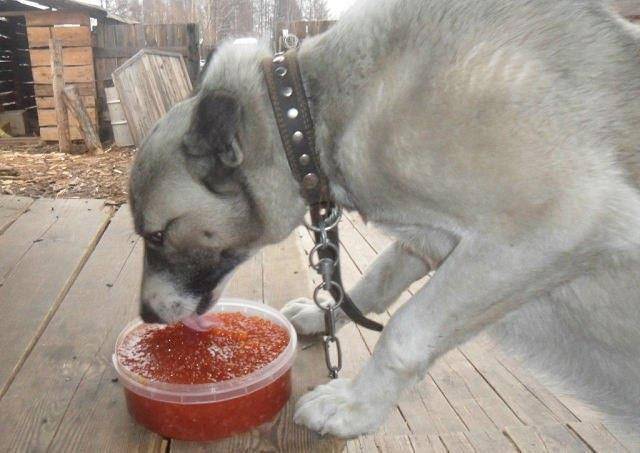 "Фантастика 2025-147". Компиляция. Книги 1-25 (СИ) - i_012.jpg