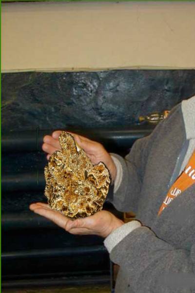 "Фантастика 2025-147". Компиляция. Книги 1-25 (СИ) - i_018.png