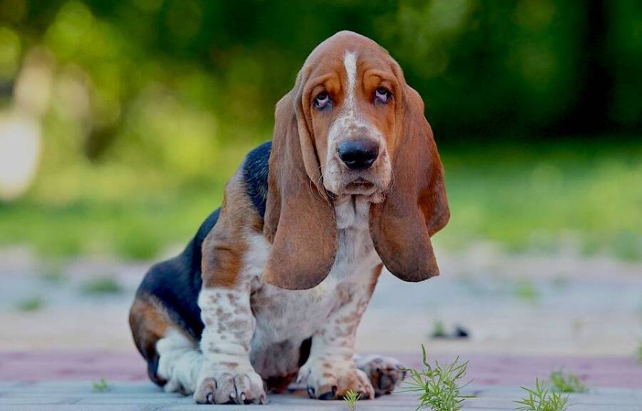 "Фантастика 2025-147". Компиляция. Книги 1-25 (СИ) - i_024.png