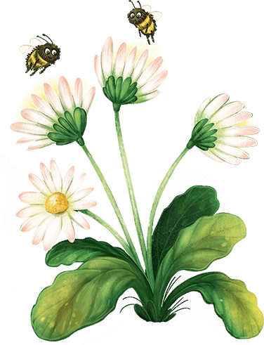 Клара Катастрофея и великий переполох - i_005.png